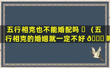 五行相克也不能婚配吗 ☘ （五行相克的婚姻就一定不好 🍁 吗）